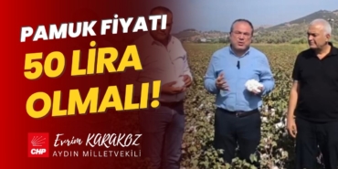 pamuk-fiyati-evrim-karakoz